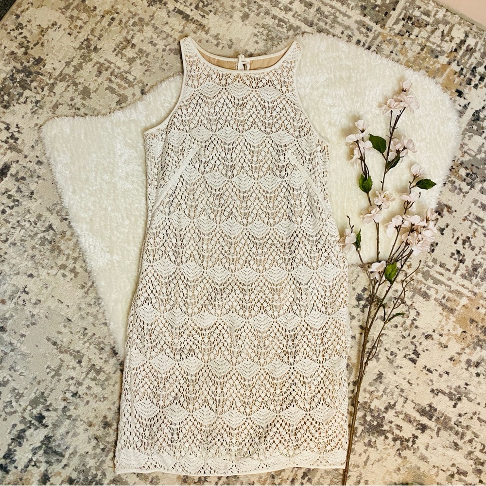 LOFT Elegant Cream Lace Dress